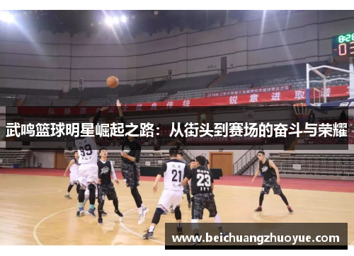 武鸣篮球明星崛起之路：从街头到赛场的奋斗与荣耀