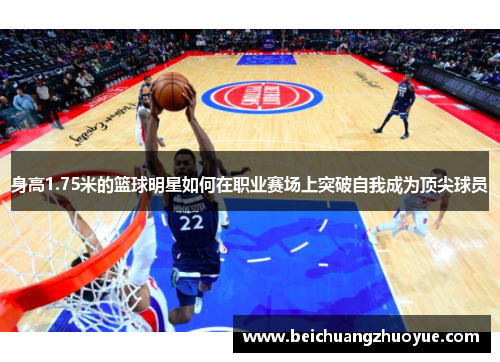 身高1.75米的篮球明星如何在职业赛场上突破自我成为顶尖球员